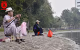 Đàn thiên nga ở hồ Thiền Quang vẫn có nguy cơ bị thương do lưỡi câu
